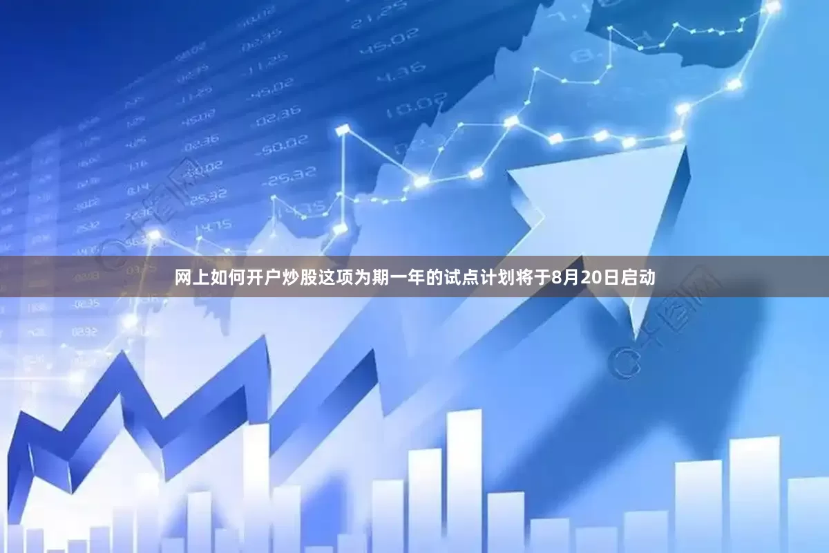 网上如何开户炒股这项为期一年的试点计划将于8月20日启动