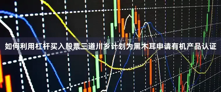 如何利用杠杆买入股票三道川乡计划为黑木耳申请有机产品认证