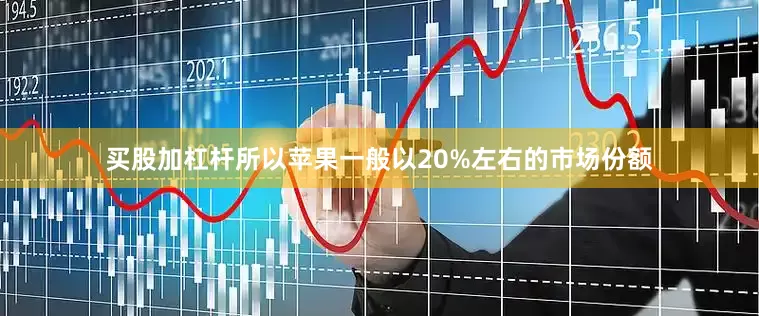 买股加杠杆所以苹果一般以20%左右的市场份额